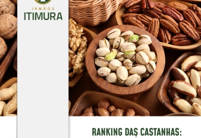 Ranking das castanhas: Saiba qual é a melhor para você