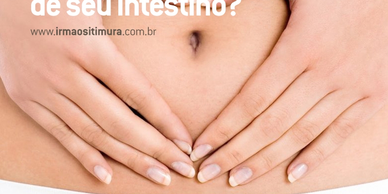 Melhore o funcionamento do seu intestino