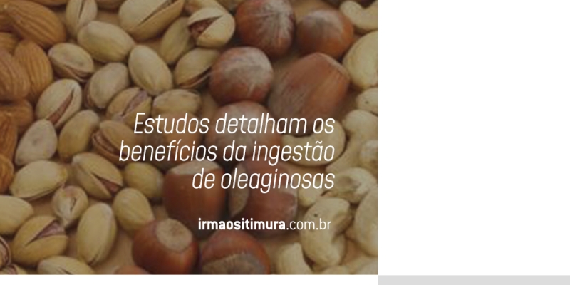 Estudos detalham os benefícios da ingestão de oleaginosas